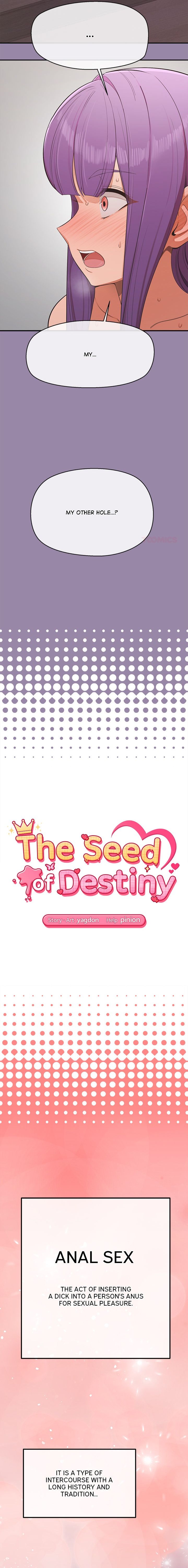 The Seed of Destiny - Chapter 24 Page 2